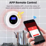 Smart Gas Detector
