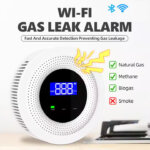 Smart Gas Detector