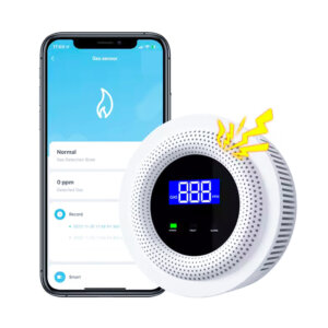 Smart Gas Detector