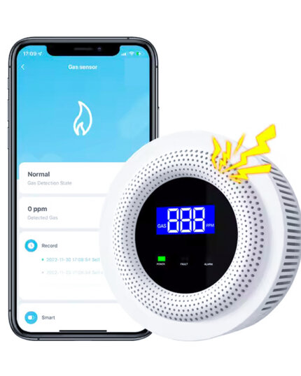 Smart Gas Detector