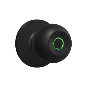 R4 Knob smart door lock