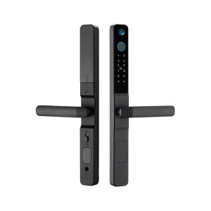 TH3 face unlock Thai smart door lock